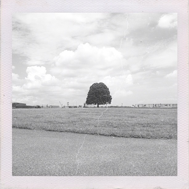 9ec44c7cf3c911e295e122000a9e2965_7