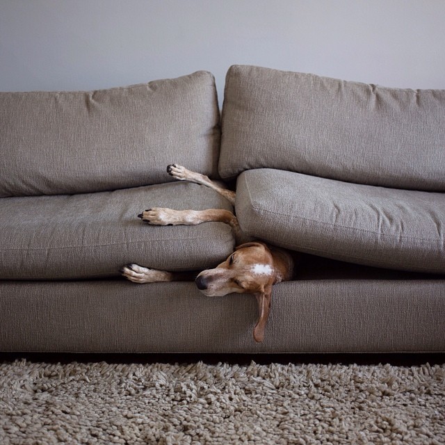 ead6c756497411e3a9e312ed7fc8e686_8